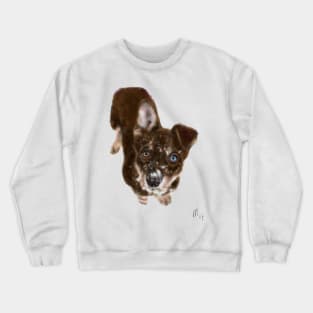 Husky Puppy in Snow Crewneck Sweatshirt